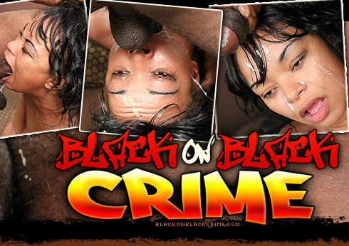 Black On Black Crime Destroys Cassino